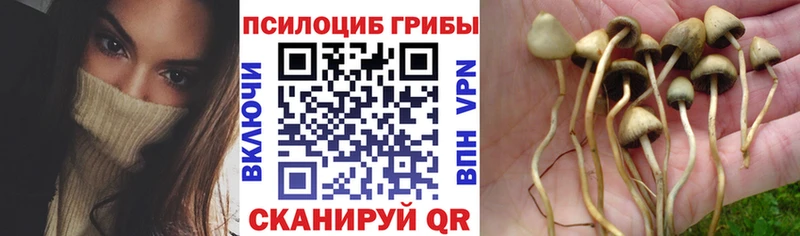 Купить закладки  Скопин  Галлюциногенные грибы MAGIC MUSHROOMS 